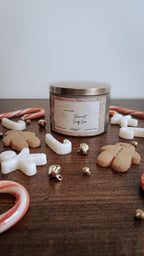 Tin candle Christmas collection