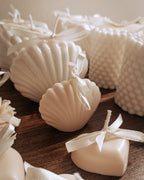 Seashell candle